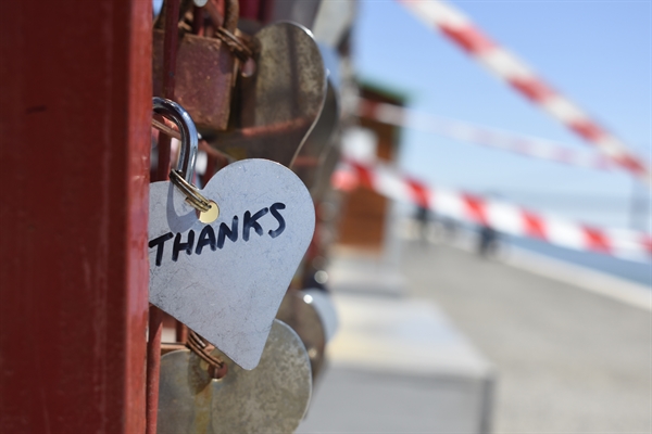 Cultivating Gratitude During Hard Times